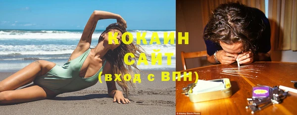тгк Няндома