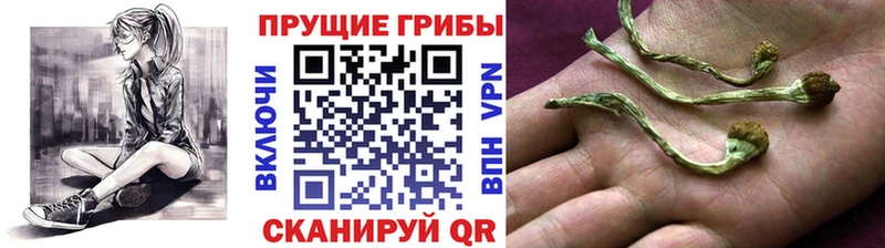 Галлюциногенные грибы ЛСД  Купить  Петушки 
